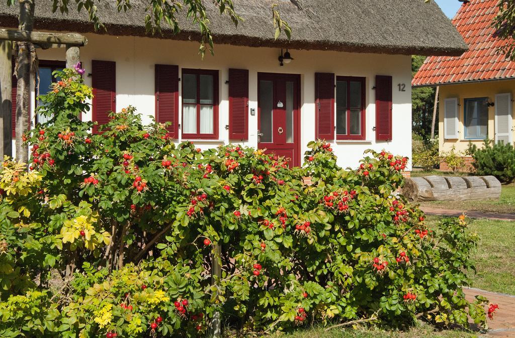 Dünenresidenz Glowe - Haus Luisa Exterior foto